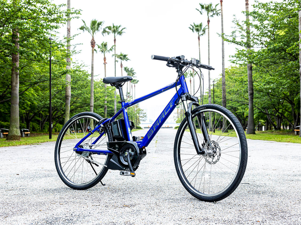 PAS Brace PA26B 2021�N���f�� [�O���X�u���[] + ��p�[�d��