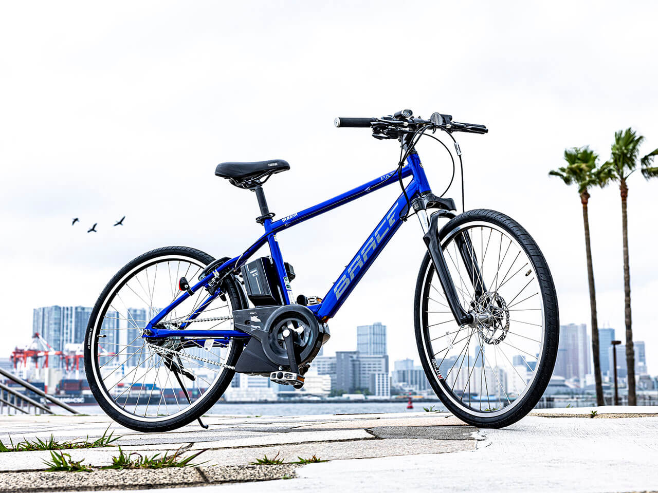 PAS Brace PA26B 2021�N���f�� [�O���X�u���[] + ��p�[�d��