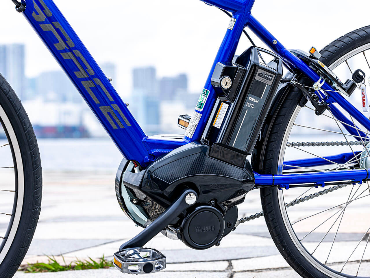 PAS Brace PA26B 2021�N���f�� [�O���X�u���[] + ��p�[�d��