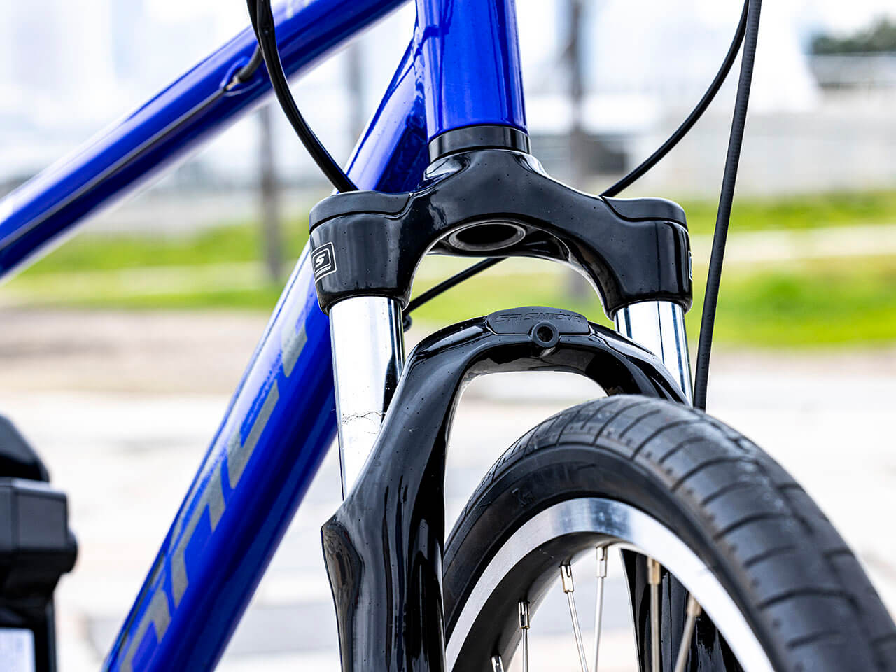 PAS Brace PA26B 2021�N���f�� [�O���X�u���[] + ��p�[�d��