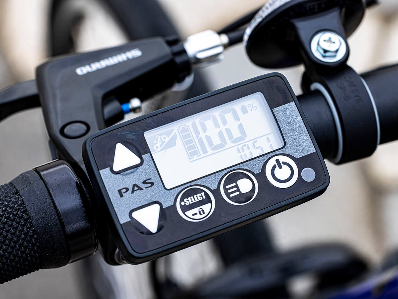 PAS Brace PA26B 2021�N���f�� [�O���X�u���[] + ��p�[�d��