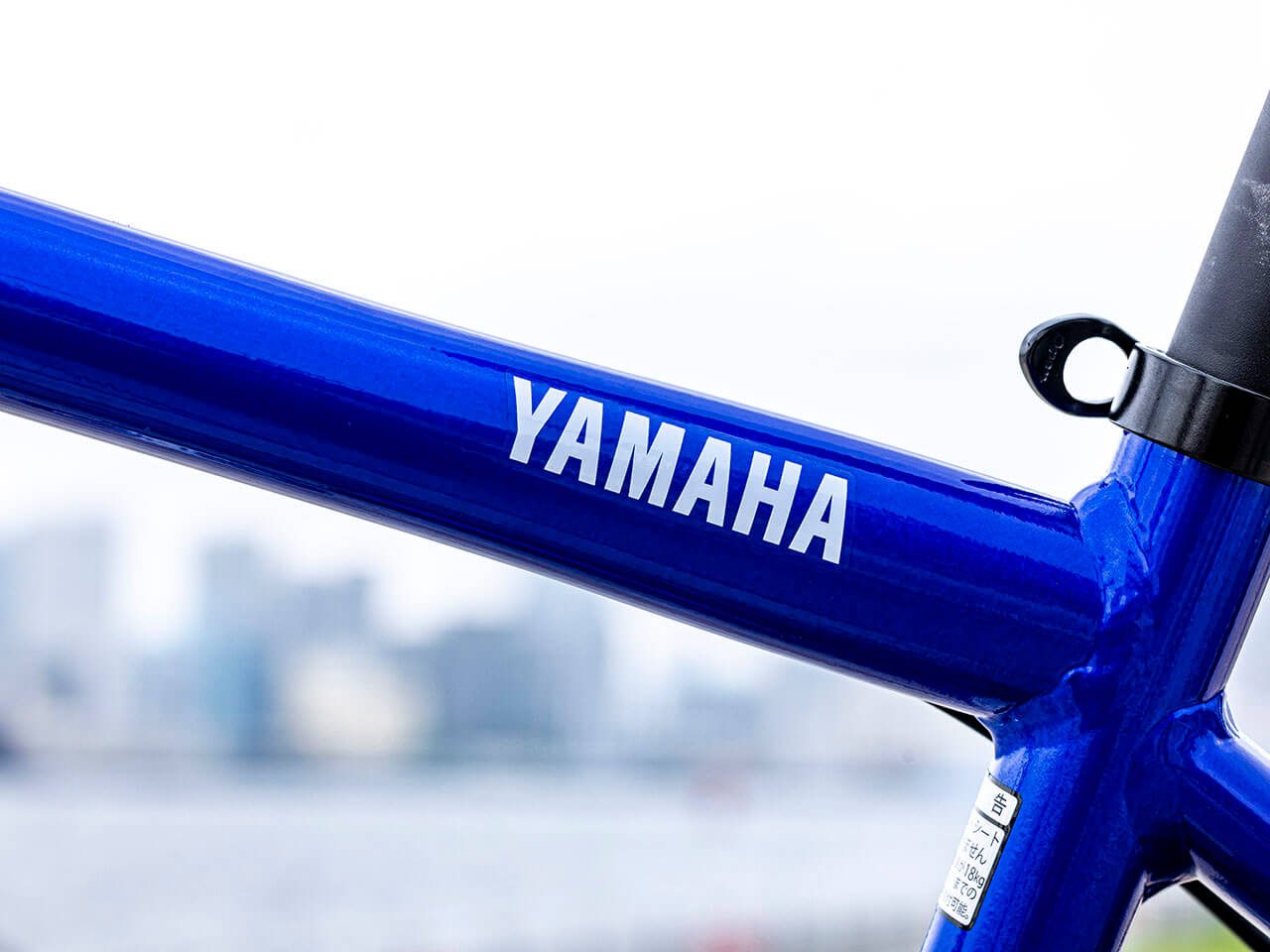 PAS Brace PA26B 2021�N���f�� [�O���X�u���[] + ��p�[�d��