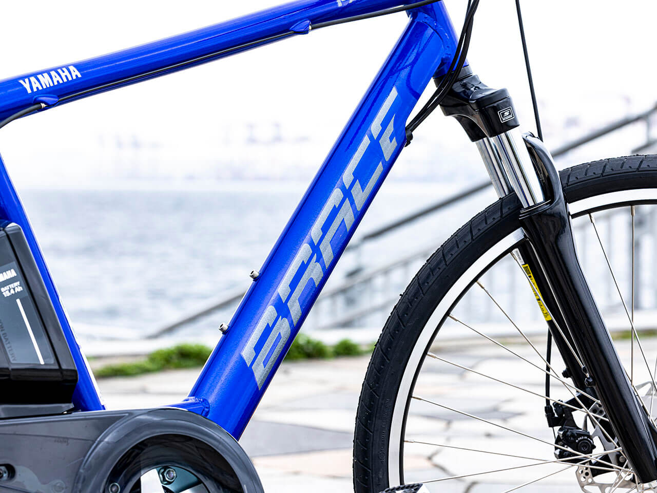 PAS Brace PA26B 2021�N���f�� [�O���X�u���[] + ��p�[�d��