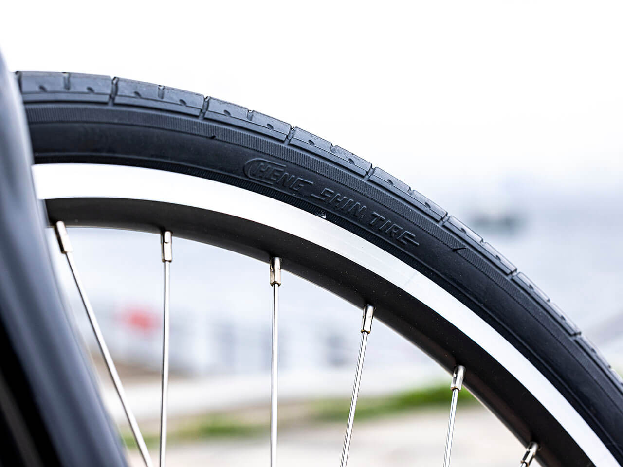 PAS Brace PA26B 2021�N���f�� [�O���X�u���[] + ��p�[�d��