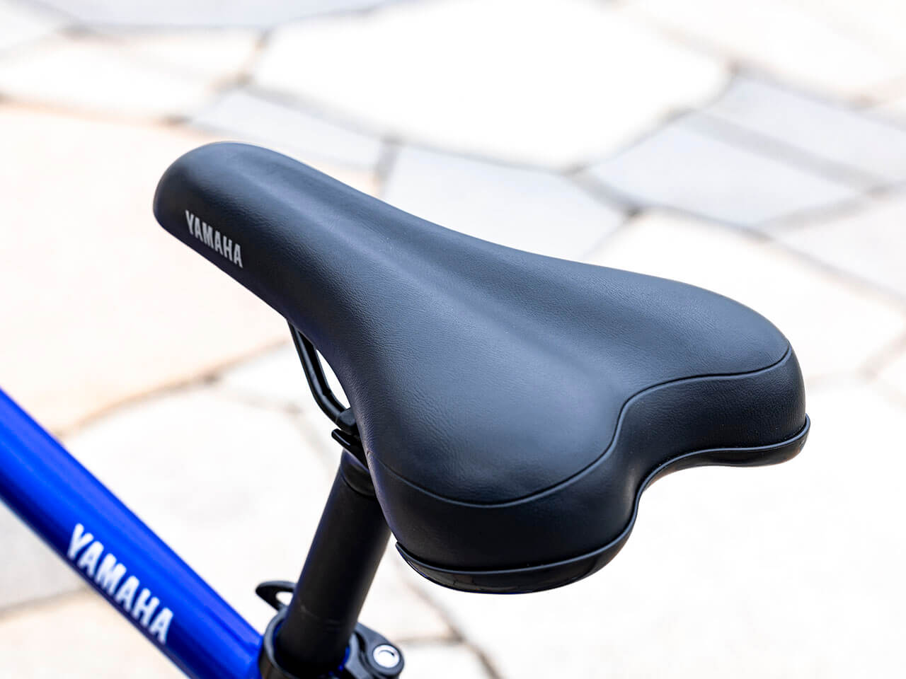 PAS Brace PA26B 2021�N���f�� [�O���X�u���[] + ��p�[�d��