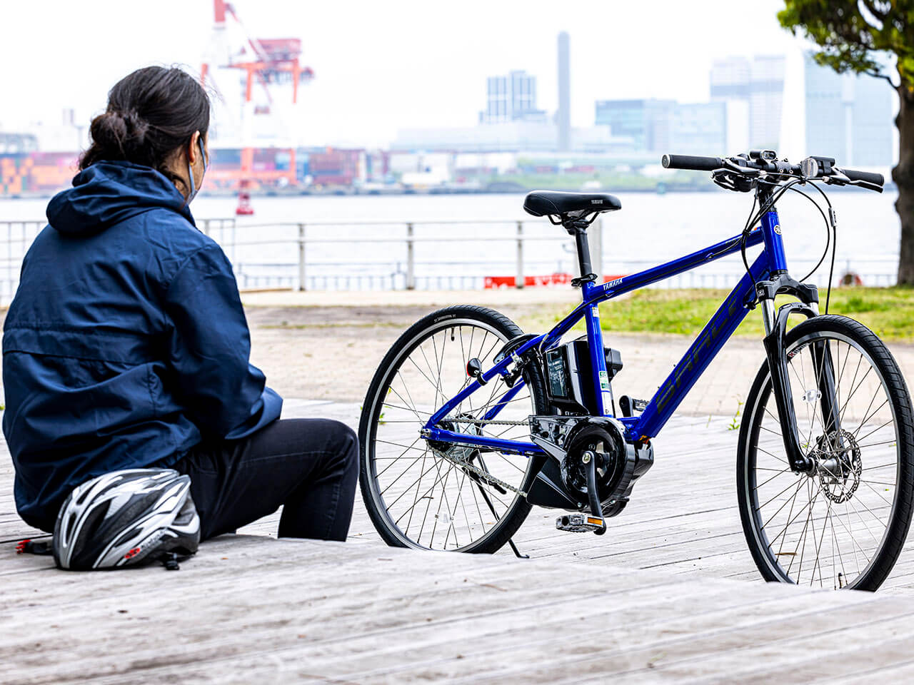 PAS Brace PA26B 2021�N���f�� [�O���X�u���[] + ��p�[�d��