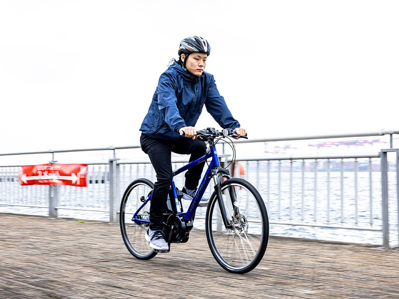 PAS Brace PA26B 2021�N���f�� [�O���X�u���[] + ��p�[�d��