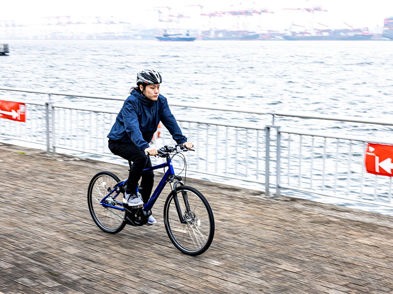 PAS Brace PA26B 2021�N���f�� [�O���X�u���[] + ��p�[�d��