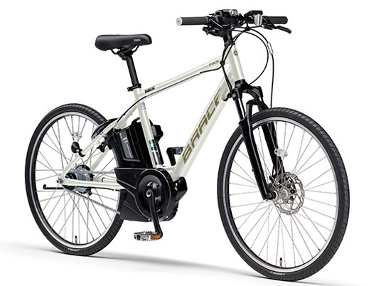 PAS Brace PA26B 2021�N���f�� [�z���C�g�I��] + ��p�[�d��