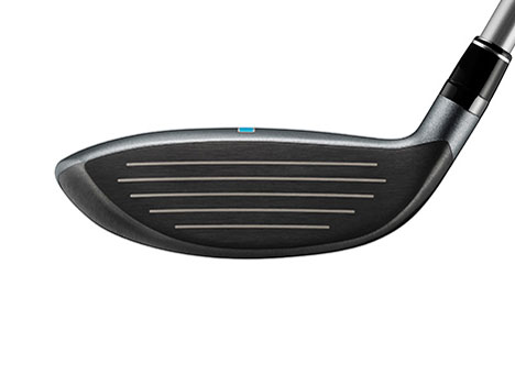 Carrys Q ���[�e�B���e�B�[ [LIGHT ���t�g�F24]