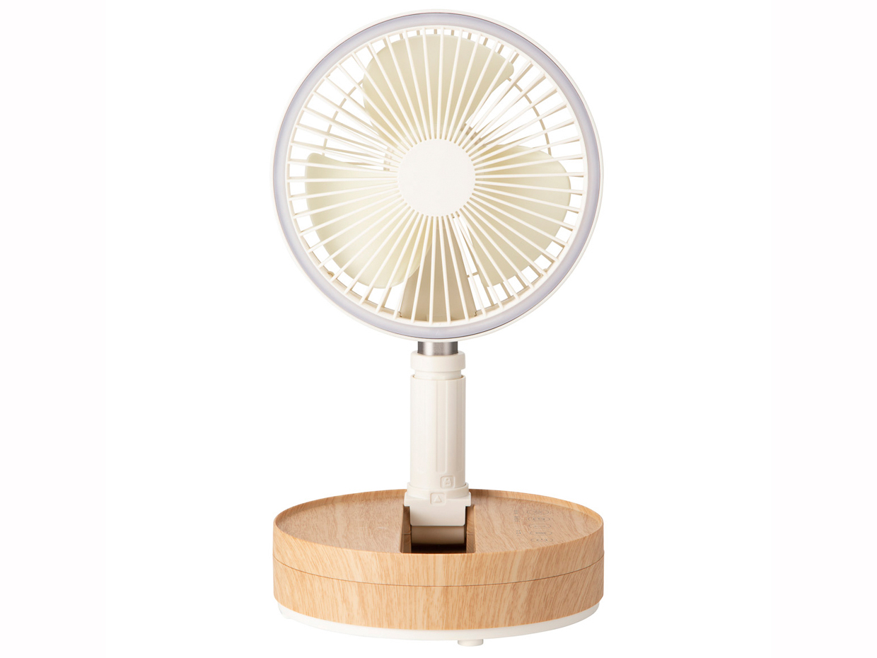 LF-T2104IV [�A�C�{���[�E�b�h] �̐��i�摜