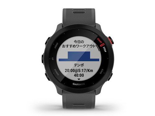 ForeAthlete 55 010-02562-43 [Grey]