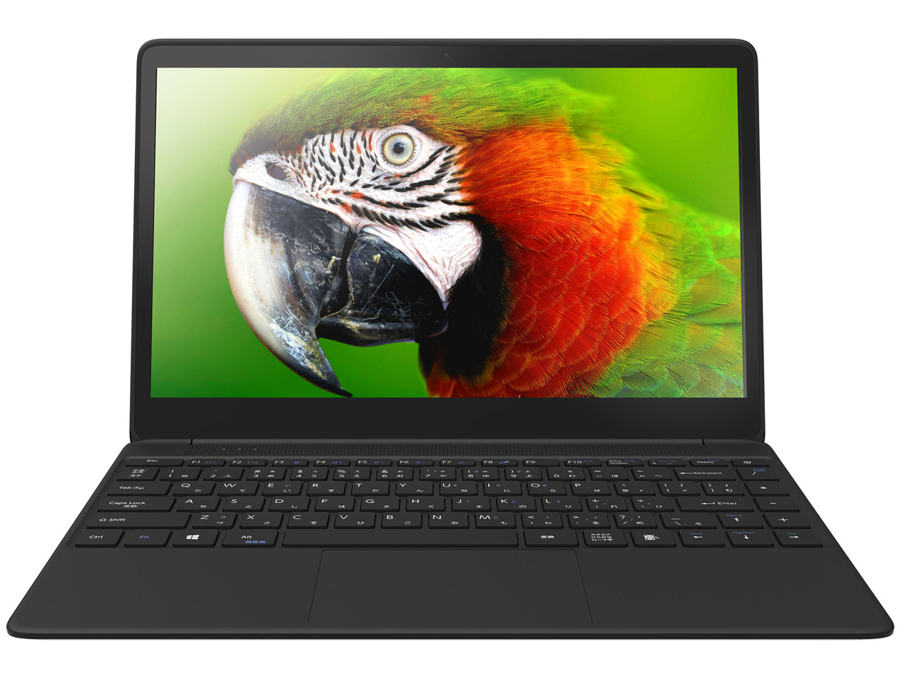 IRIE FFF-PCH1S �̐��i�摜