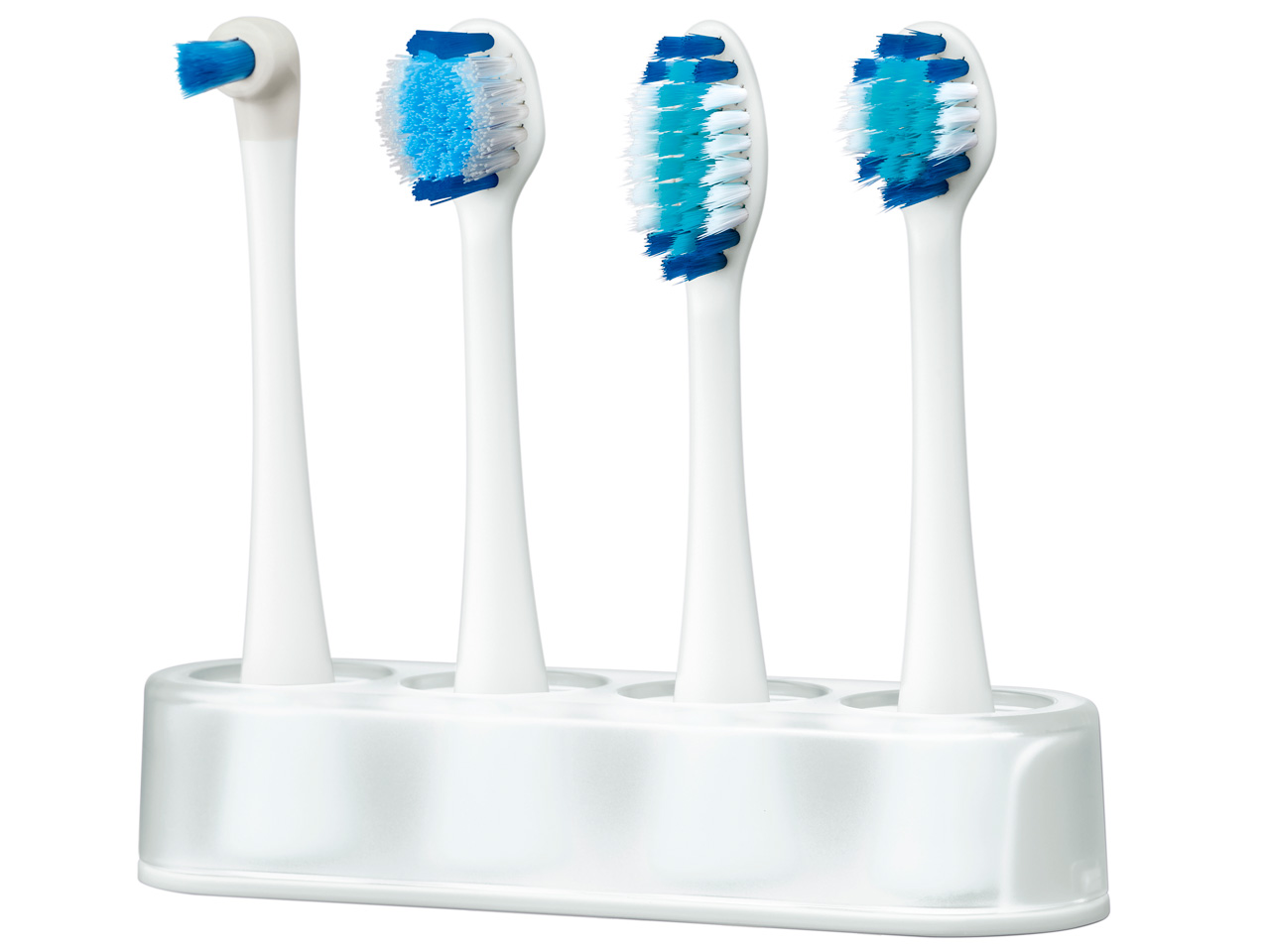 ���g�U���n�u���V �h���c EW-DP55-P [�s���N]