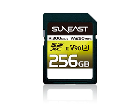 SE-SDU2256GA300 [256GB] �̐��i�摜