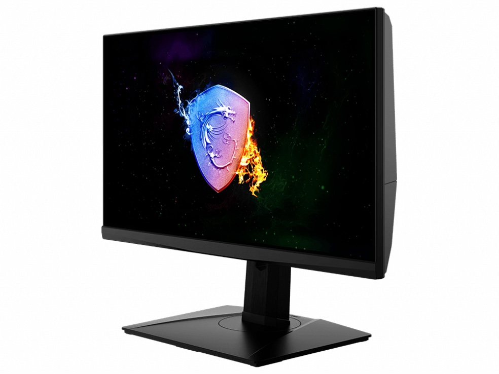 Oculux NXG253R [24.5�C���`]