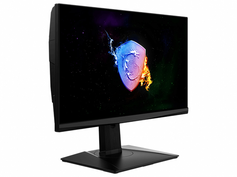 Oculux NXG253R [24.5�C���`]