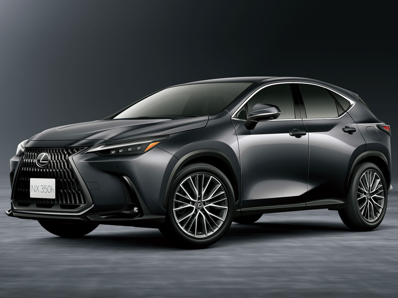 アウトサイドステップガーニッシュ レクサス LEXUS NX200t NX300h専用