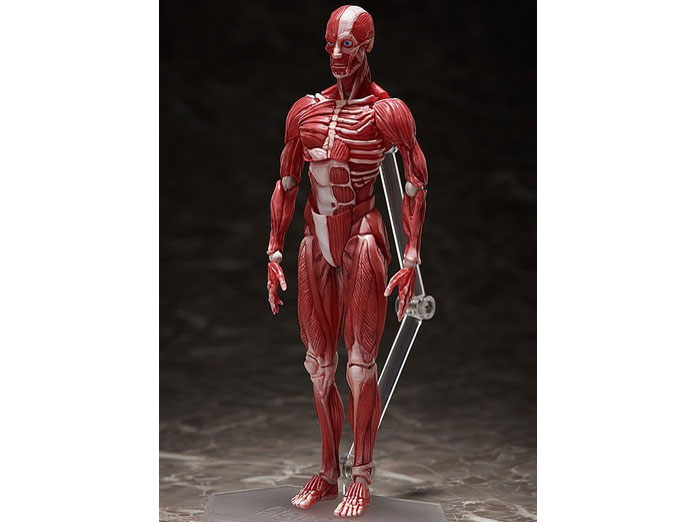 figma �l�̖͌^