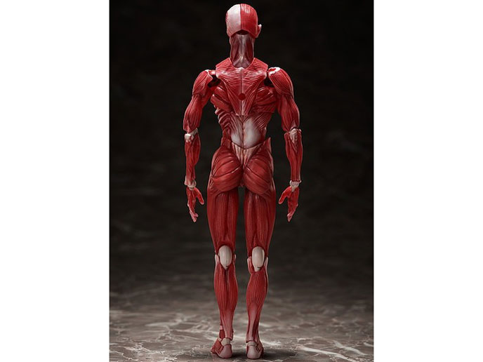 figma �l�̖͌^