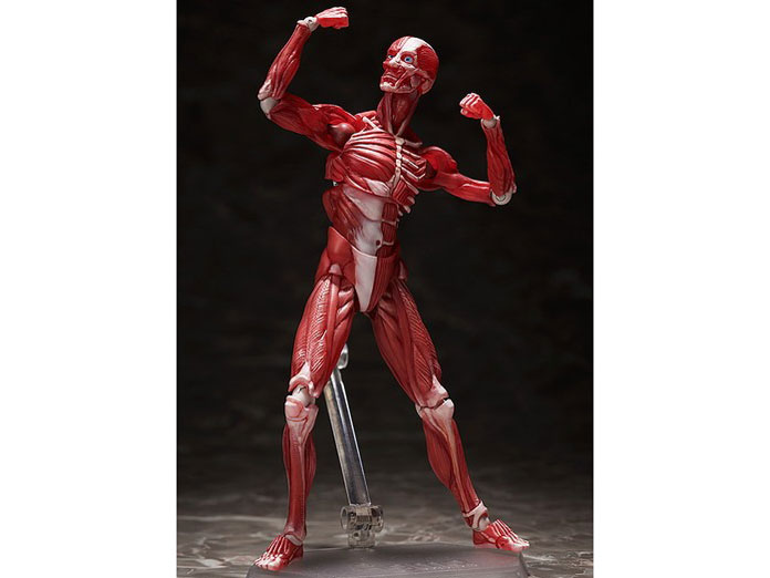 figma �l�̖͌^