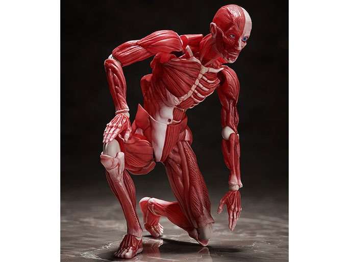 figma �l�̖͌^