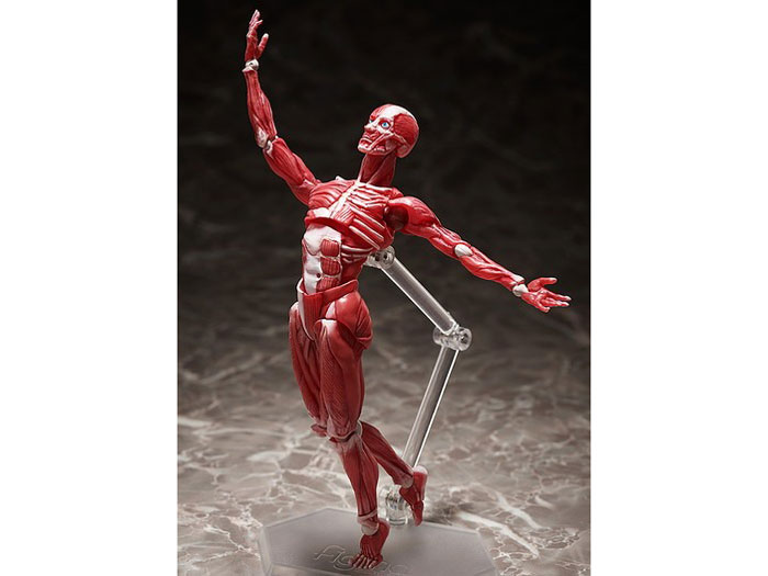 figma �l�̖͌^