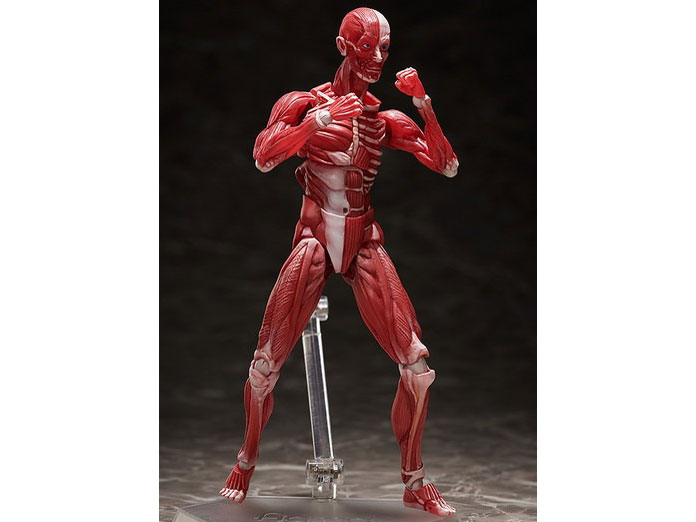 figma �l�̖͌^