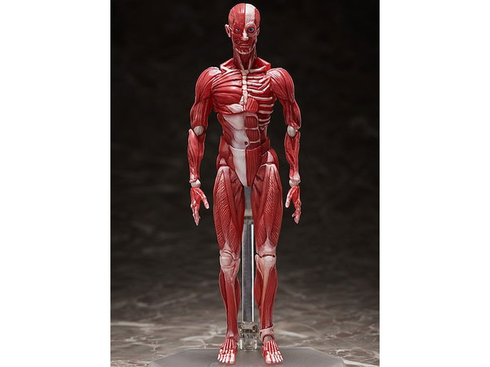 figma �l�̖͌^ �̐��i�摜