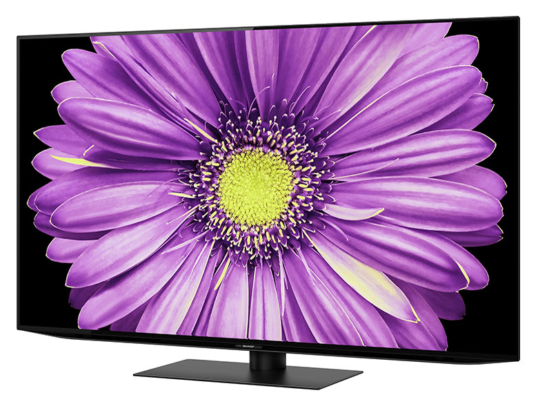 AQUOS OLED 4T-C55DQ2 [55�C���`]