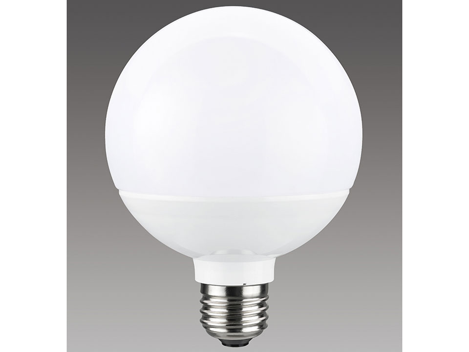 LDG11N-G/100W/2 [�����F]