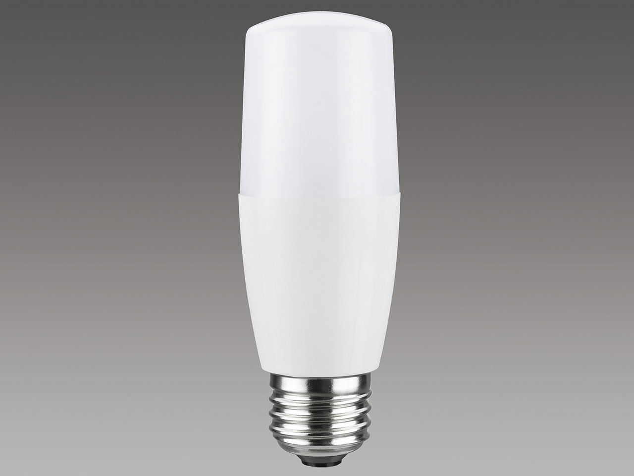 LDT4N-G/S/40W/2 [�����F]