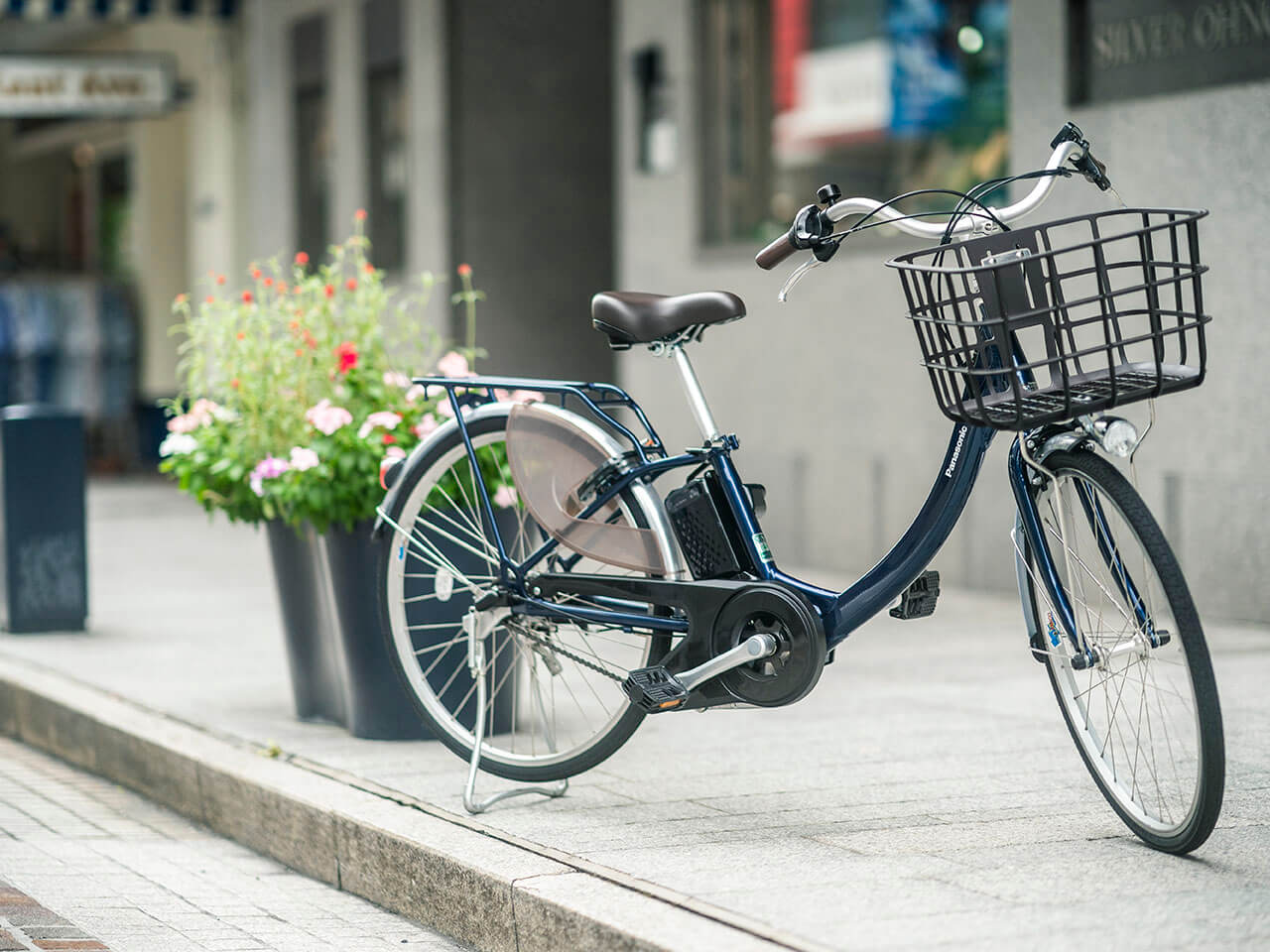 �r�r�ESL BE-FSL431-V [�f�B�[�v�u���[���^���b�N] + ��p�[�d��