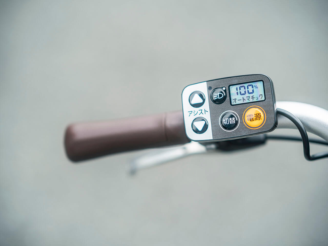 �r�r�ESL BE-FSL431-V [�f�B�[�v�u���[���^���b�N] + ��p�[�d��