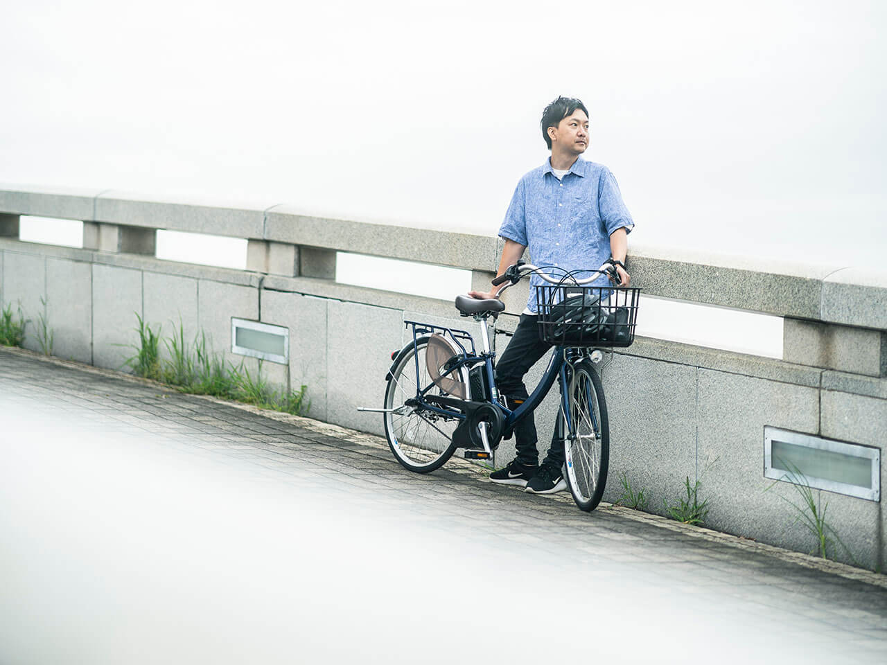 �r�r�ESL BE-FSL431-V [�f�B�[�v�u���[���^���b�N] + ��p�[�d��