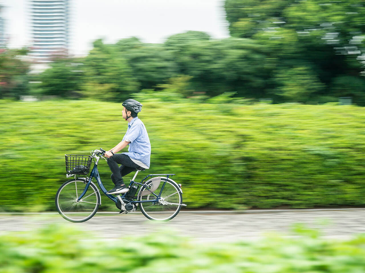 �r�r�ESL BE-FSL431-V [�f�B�[�v�u���[���^���b�N] + ��p�[�d��