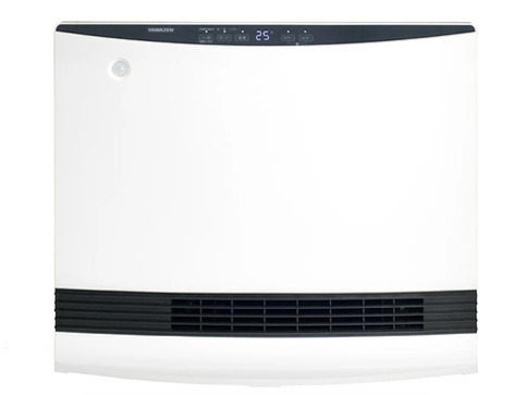 DSF-VP121 �̐��i�摜