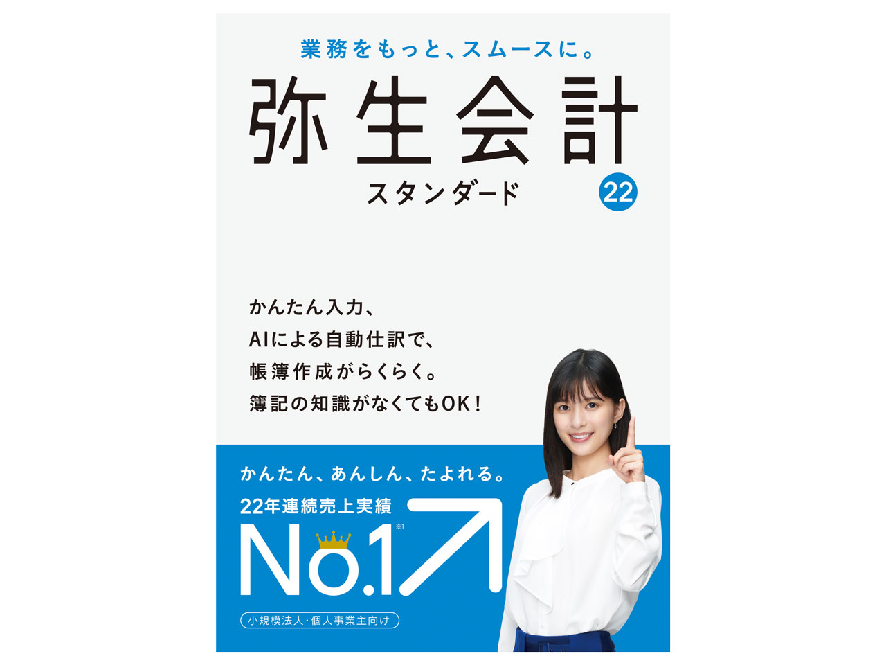 最新の激安】 弥生 弥生会計 22 スタンダード 通常版[消費税法改正対応