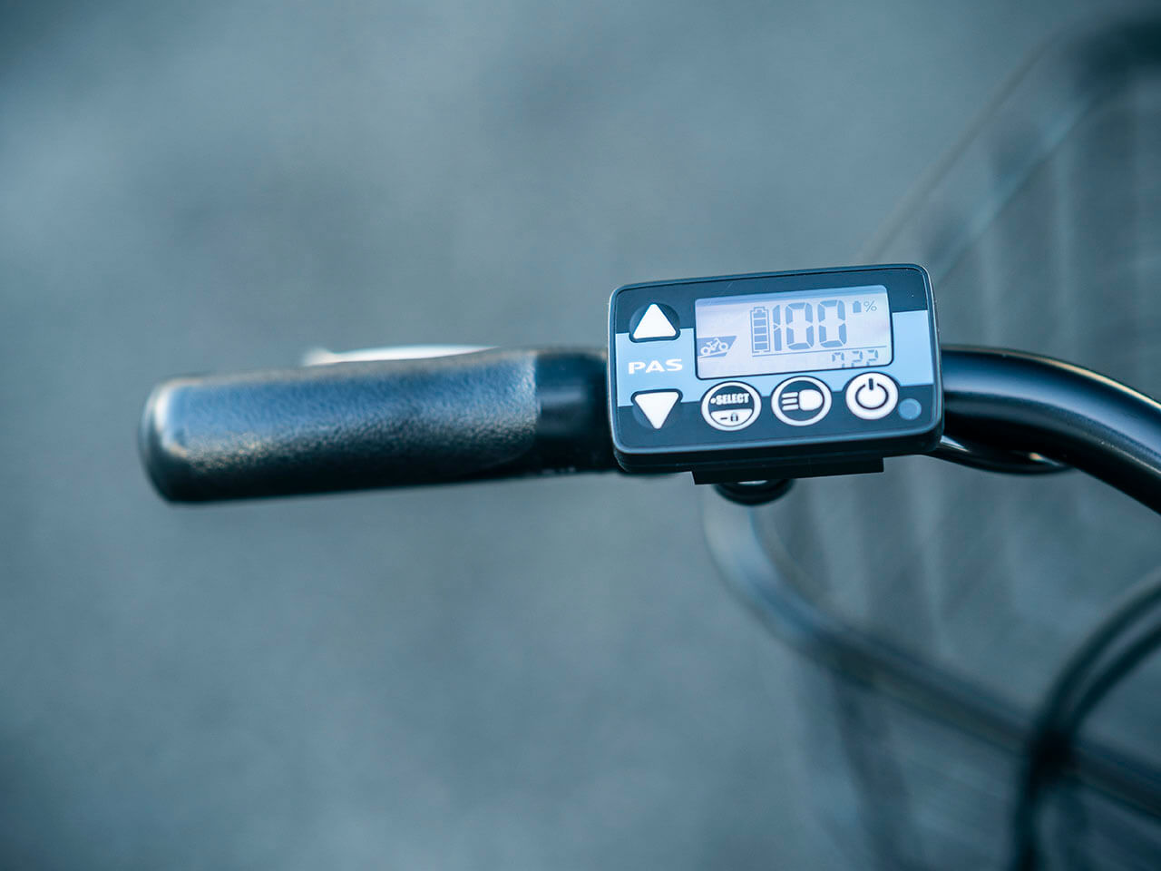 PAS RIN PA26RN 2022�N���f�� [�\���b�h�O���[2] + ��p�[�d��