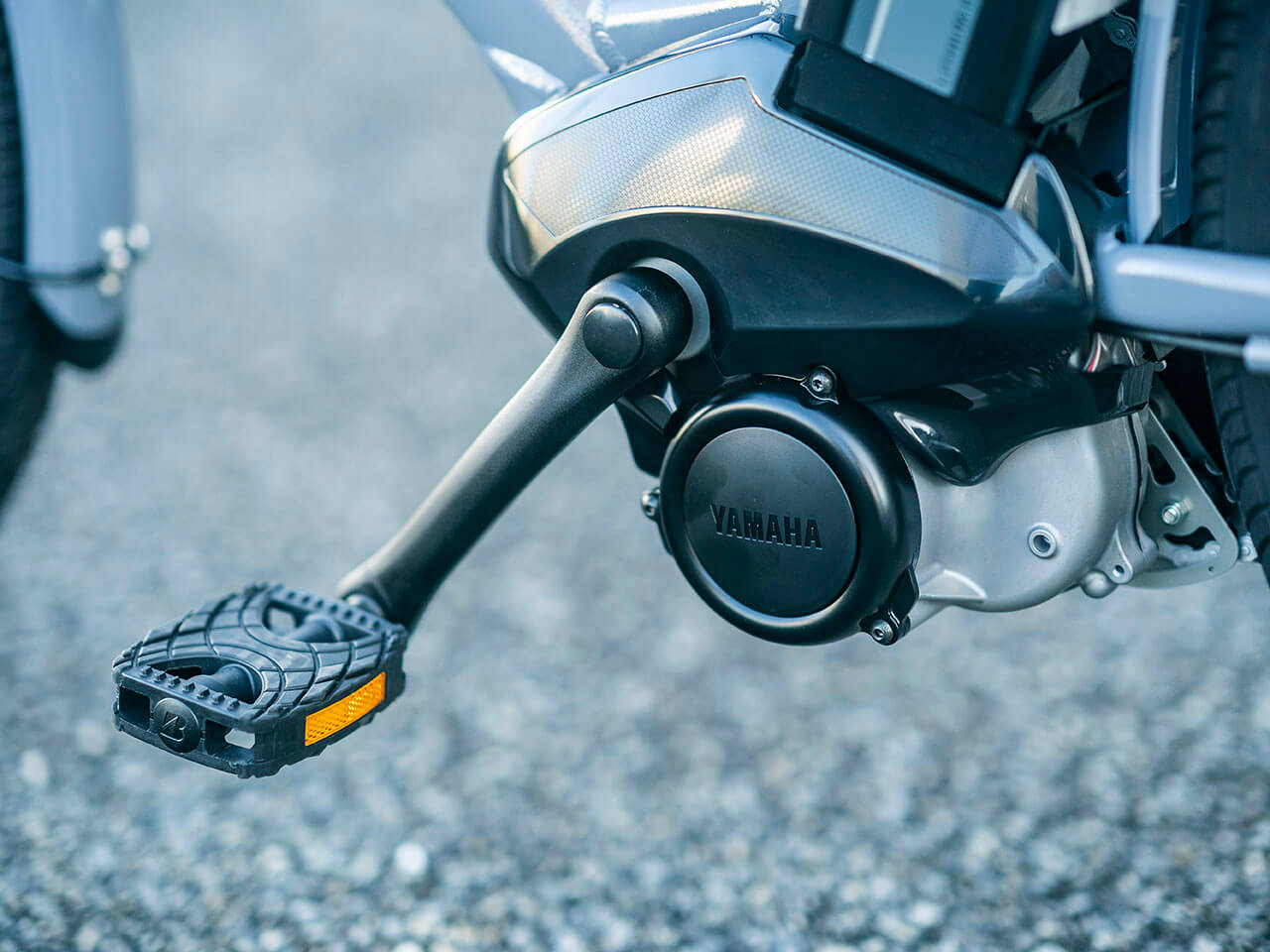 PAS RIN PA26RN 2022�N���f�� [�\���b�h�O���[2] + ��p�[�d��