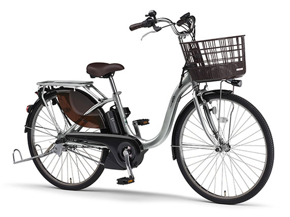 PAS With PA24W 2022�N���f�� [�s���A�V���o�[] + ��p�[�d��