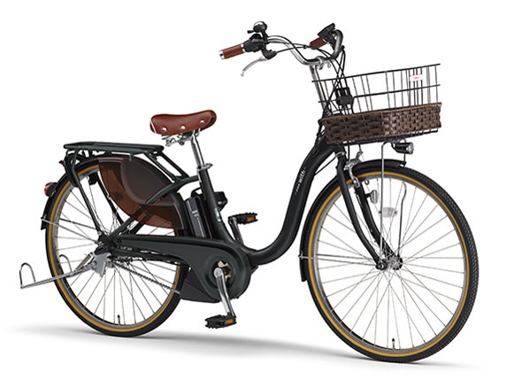 PAS With DX PA24WDX 2022�N���f�� [�}�b�g�u���b�N2] + ��p�[�d��