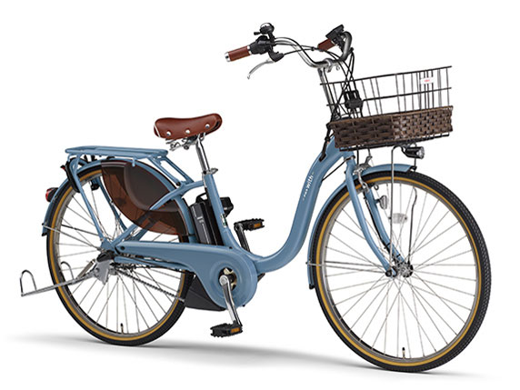 PAS With DX PA24WDX 2022�N���f�� [�p�E�_�[�u���[2] + ��p�[�d��