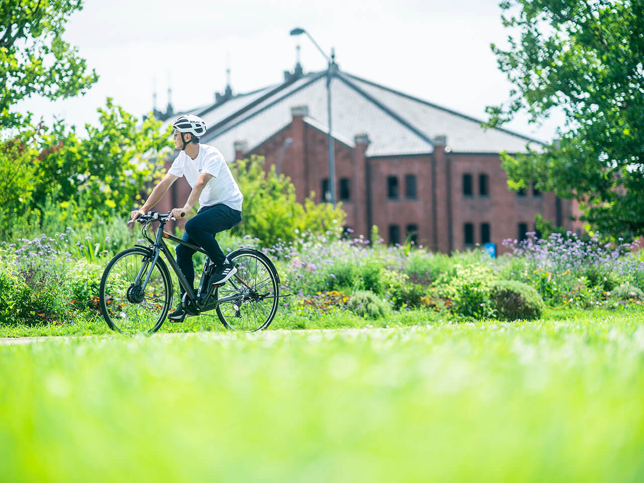 TB1e TB7B42 [T.X�}�b�g�O���[] + ��p�[�d��