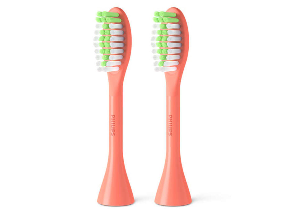 BH1022/01 [�T���S] �̐��i�摜