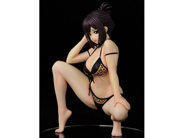�Ȃ�ł����ɐ搶���I�H 1/5.5 �������ށE����Gravure_Style/Adult animal color
