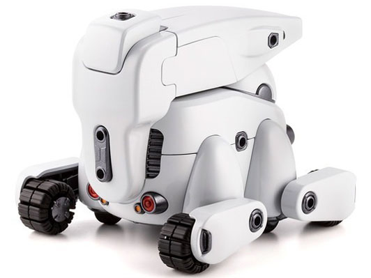 MARUTTOYS TAMOTU PRO �N�[���z���C�gVer.