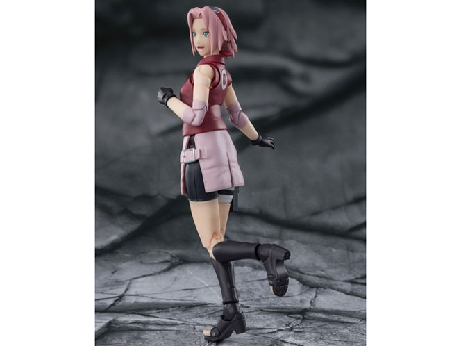S.H.Figuarts �t��T�N�� -�t������̕�����C-