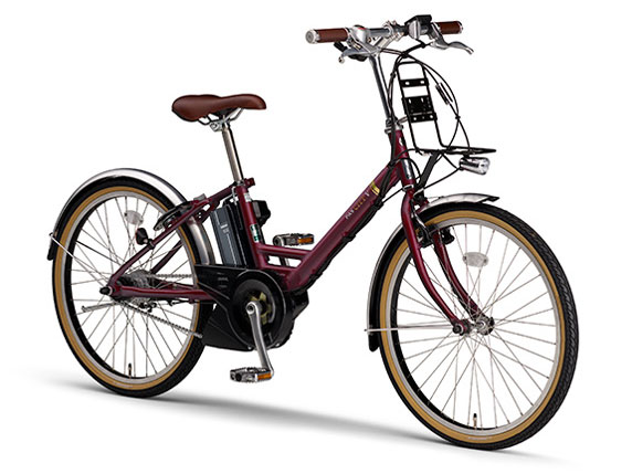 PAS CITY-V PA24CV 2022�N���f�� [�o�[�K���f�B] + ��p�[�d��