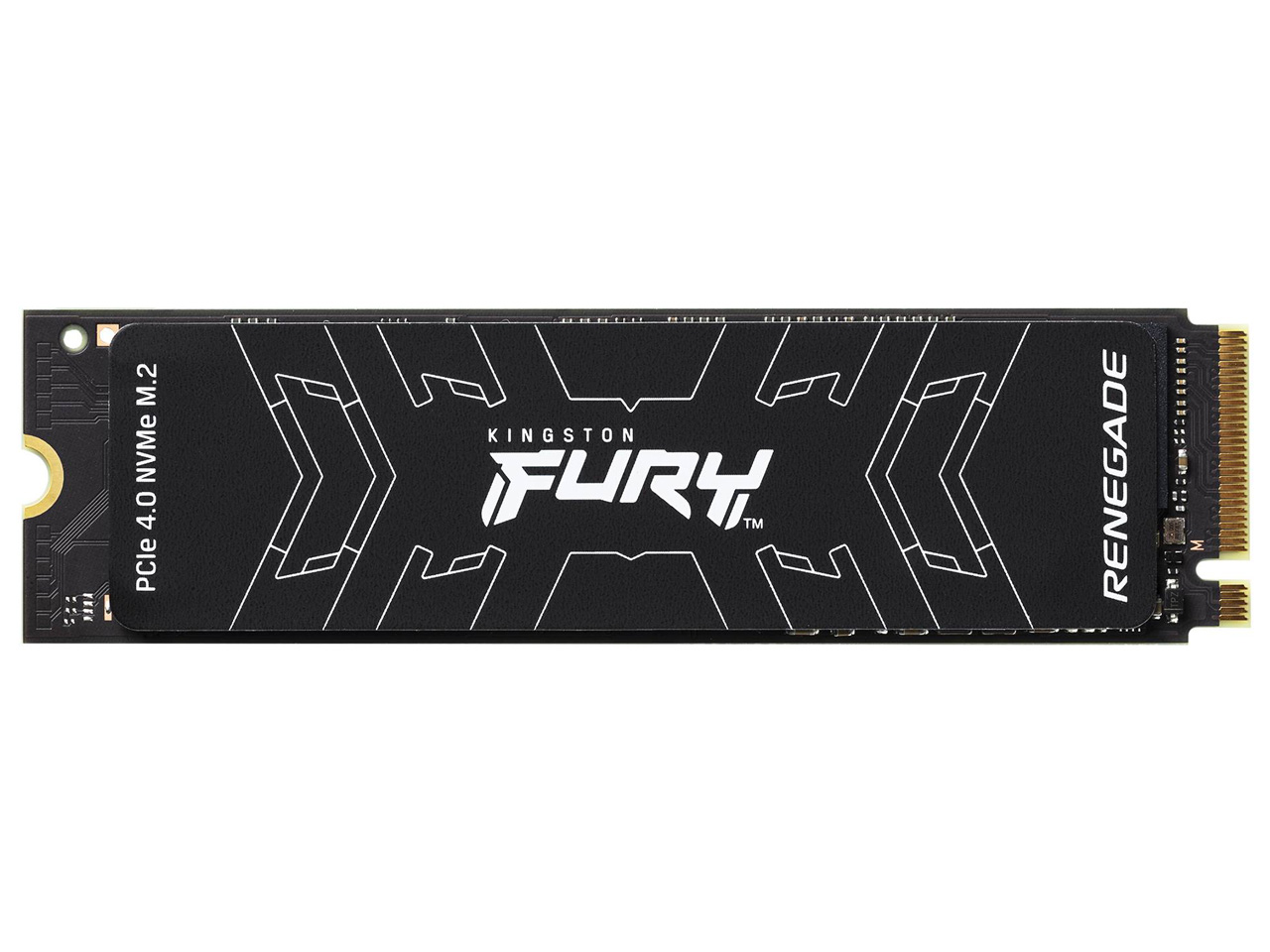 FURY Renegade SSD SFYRS/500G �̐��i�摜